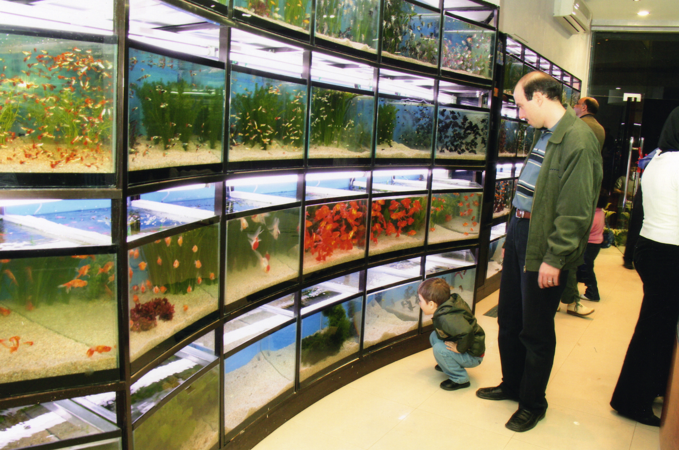 Jafar Aquatics Showroom