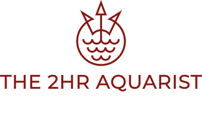 2hrAquarist Logo